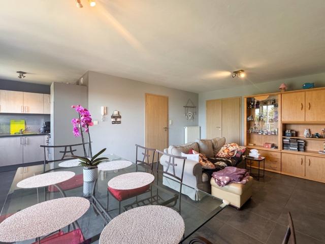 Appartement location à Bertrix, Wallonie