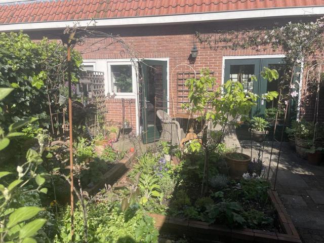 Appartement te huur in Olland, Noord Holland