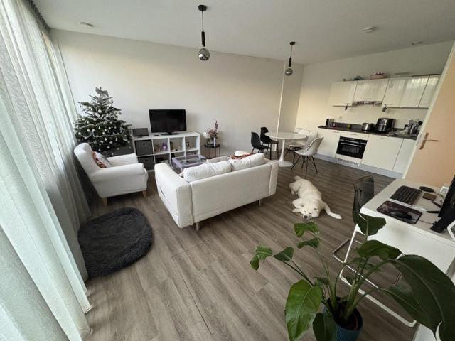 Appartement te huur in Olland, Noord Holland