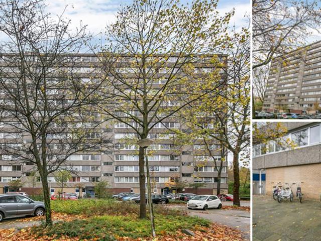 Appartement te huur in Olland, Zuid Holland