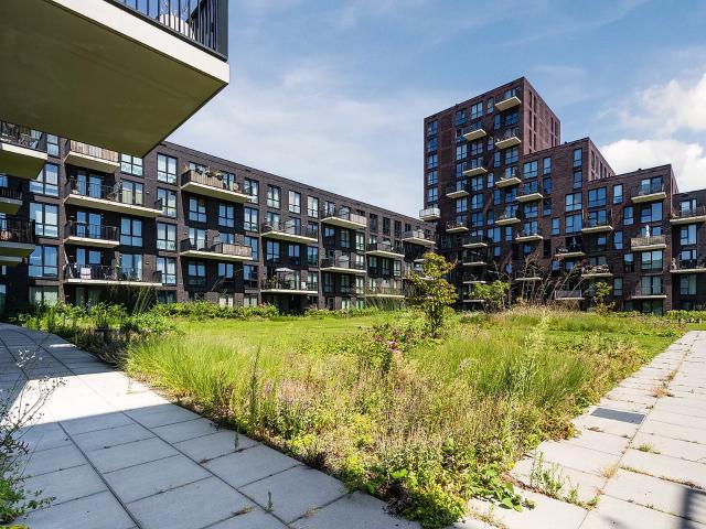 Appartement te huur in Buitenhof, Delft