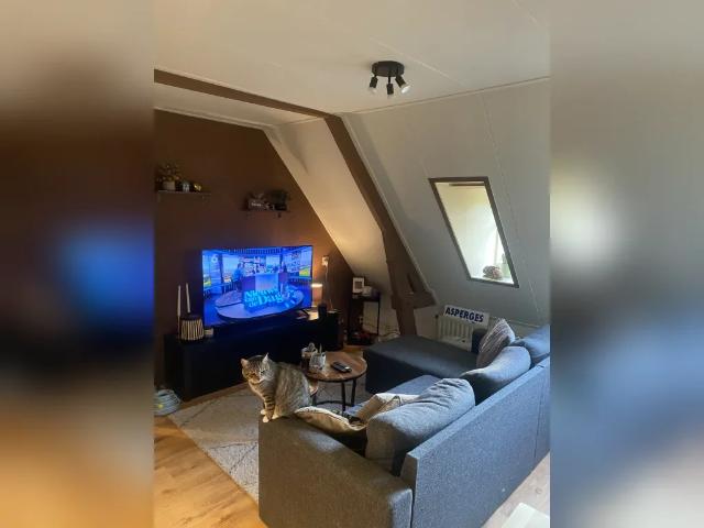 Appartement te huur in Bosch, Noord Brabant
