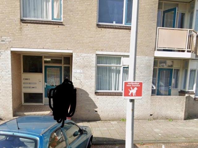 Appartement te huur in Zuid Holland