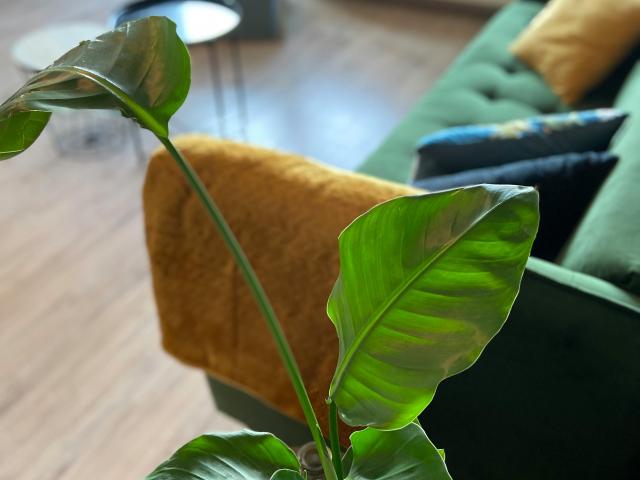 Appartement te huur in Ede, Gelderland