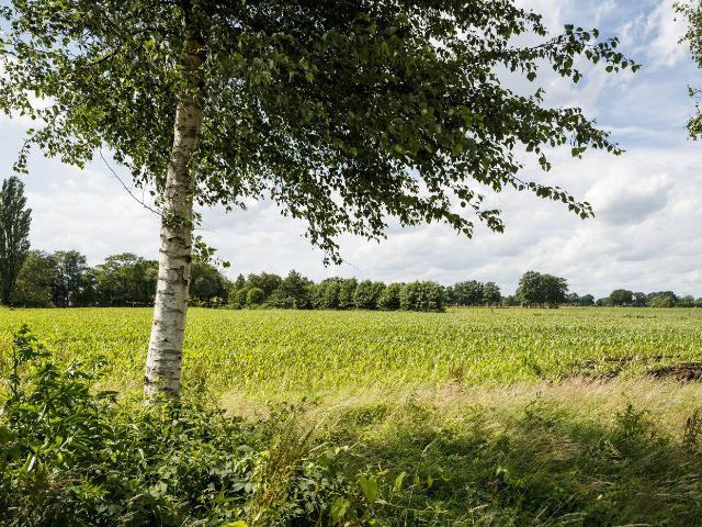 Appartement te huur in De Venen, Nootdorp
