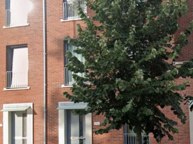 Appartement te huur in Kruidenbuurt, Olland