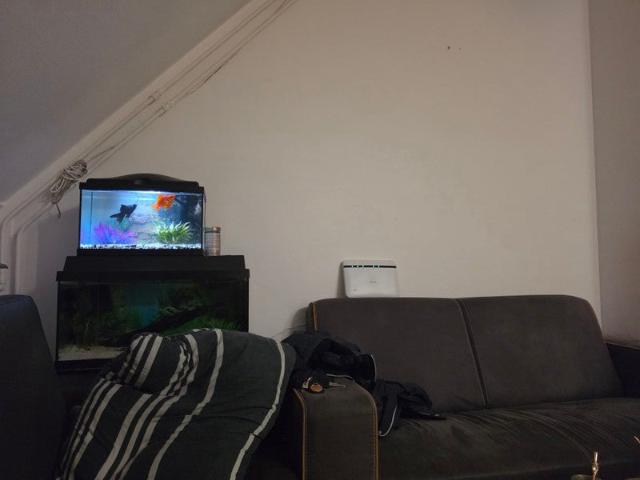 Appartement te huur in Enschede, Overijssel