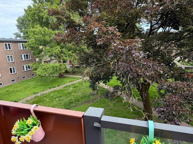 Appartement te huur in Geleen, Sittard-Geleen