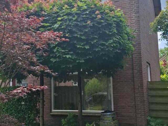 Appartement te huur in Mûnein, Tytsjerksteradiel