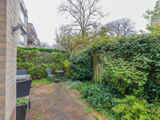 Appartement te huur in Haarlem