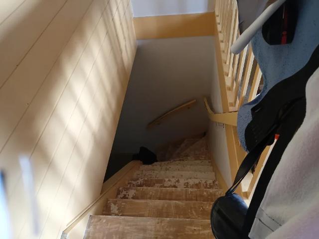 Appartement te huur in Haarlem