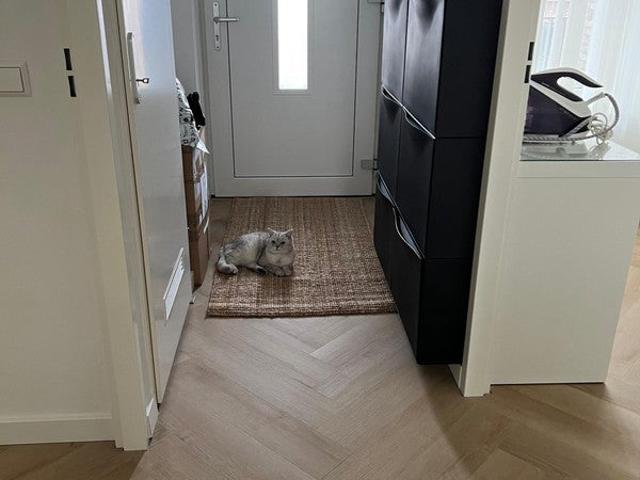 Appartement te huur in Olland, Noord Holland