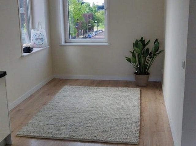 Appartement te huur in Haarlem