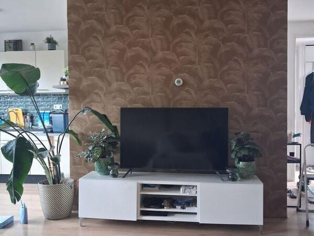 Appartement te huur in Haarlem