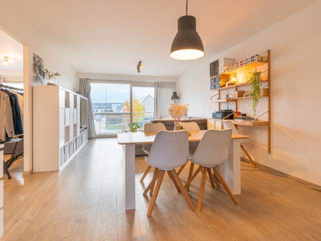 Appartement location à Hamme, Oost-Vlaanderen