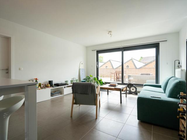 Appartement location à Hamme