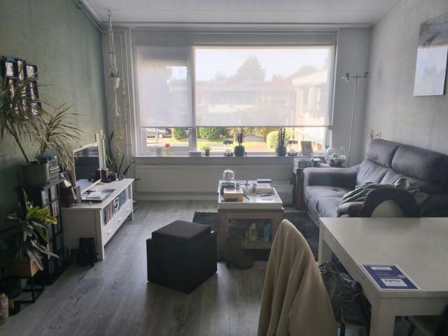 Appartement te huur in Hillegom