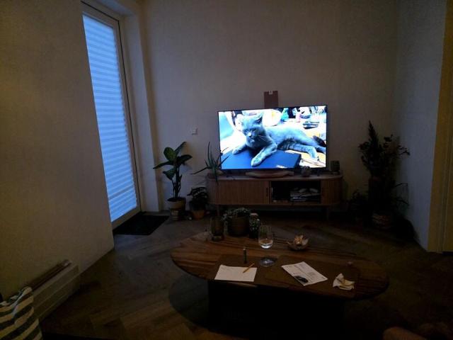 Appartement te huur in Hillegom