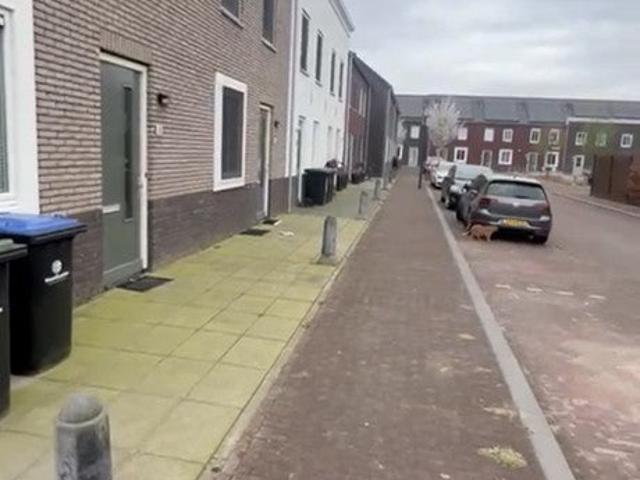 Appartement te huur in Olland, Utrecht