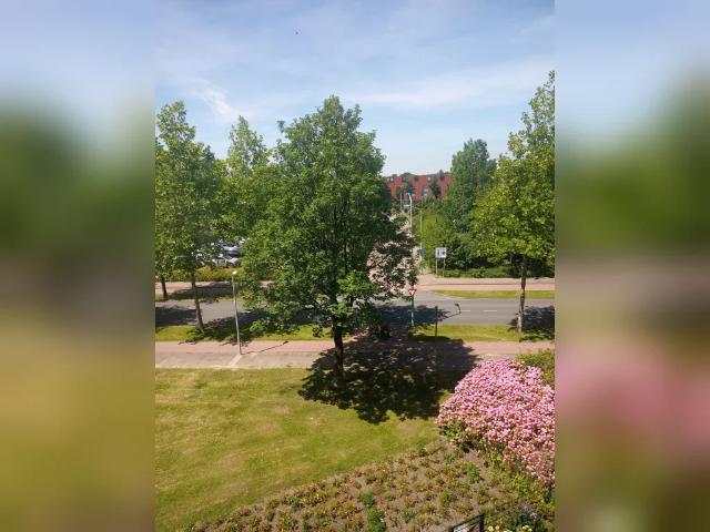 Appartement te huur in Zuid, Hoofddorp