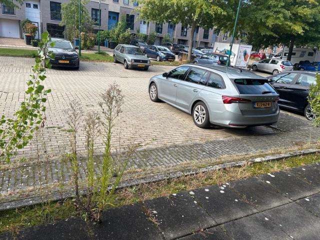 Appartement te huur in Houten