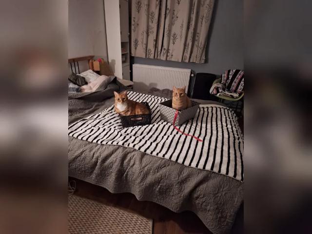 Appartement te huur in Ijmuiden, Noord Holland