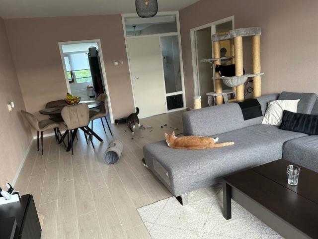 Appartement te huur in Hoornes-Rijnsoever, Katwijk