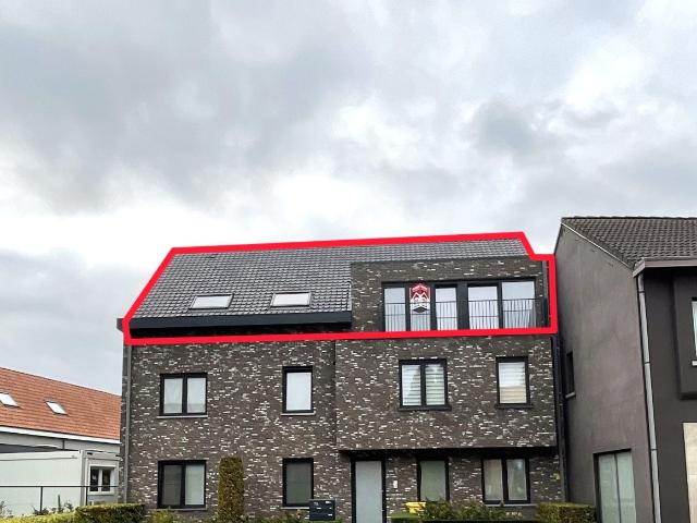 Appartement location à Lille, Antwerpen
