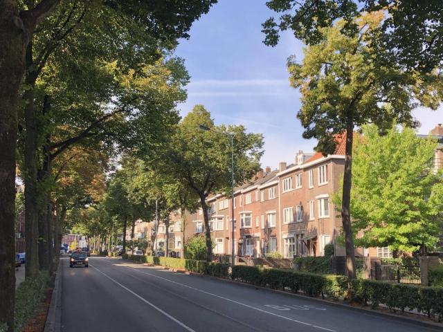 Appartement te huur in Limburg