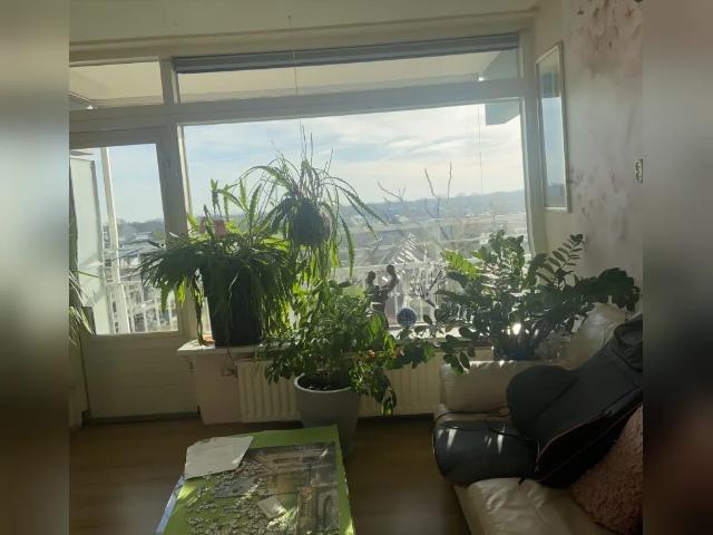 Appartement te huur in Meppel