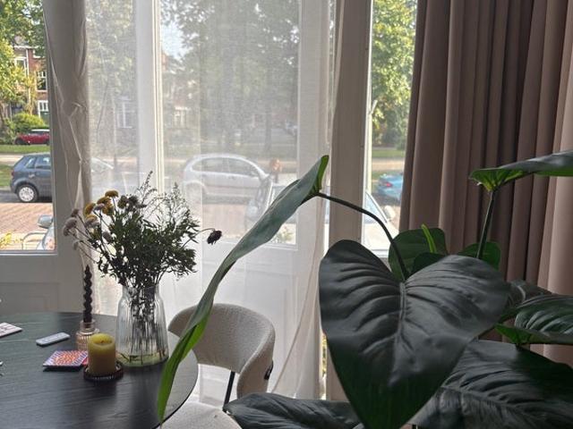 Appartement te huur in Nijmegen, Gelderland