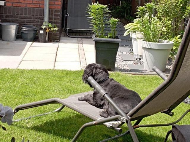 Appartement te huur in Olland, Noord Holland