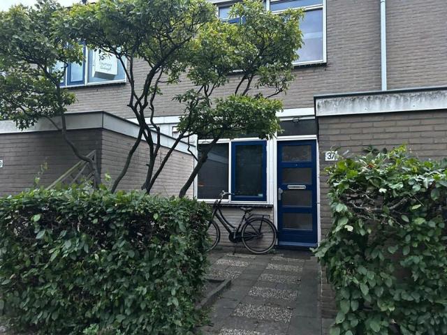 Appartement te huur in Poeldijk, Westland