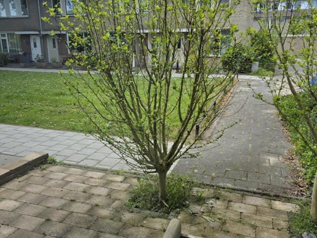 Appartement te huur in Noord Holland