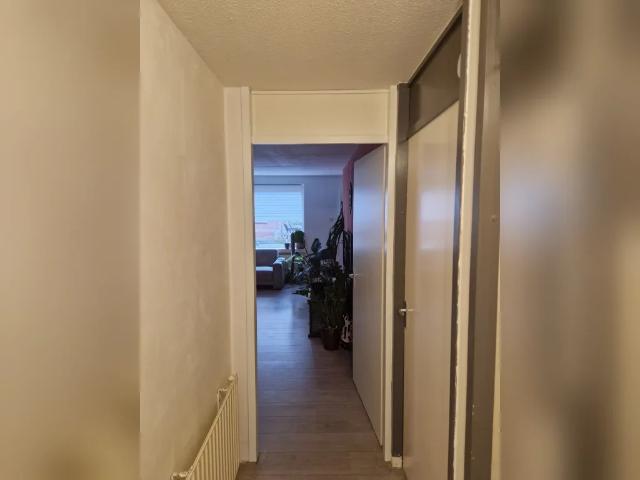 Appartement te huur in Rijnsburg, Zuid Holland