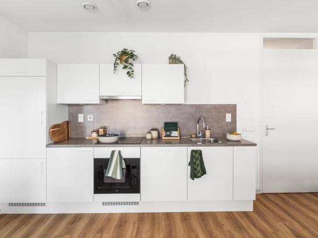 Appartement te huur in Rijswijk, Zuid Holland