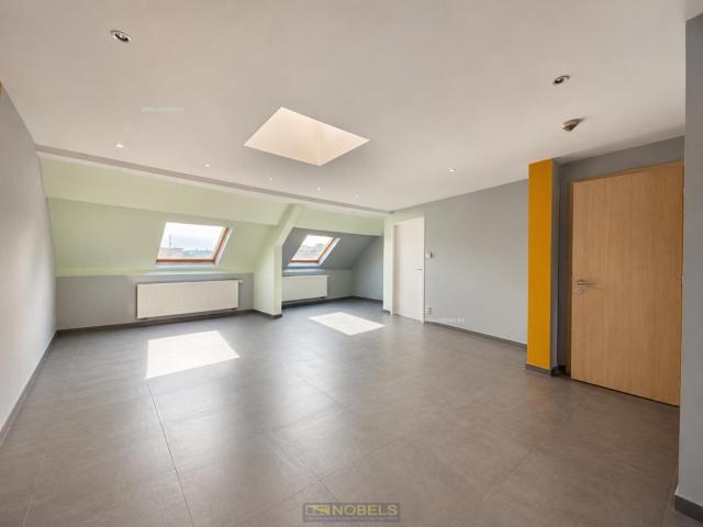 Appartement location à Renaix, Oost-Vlaanderen