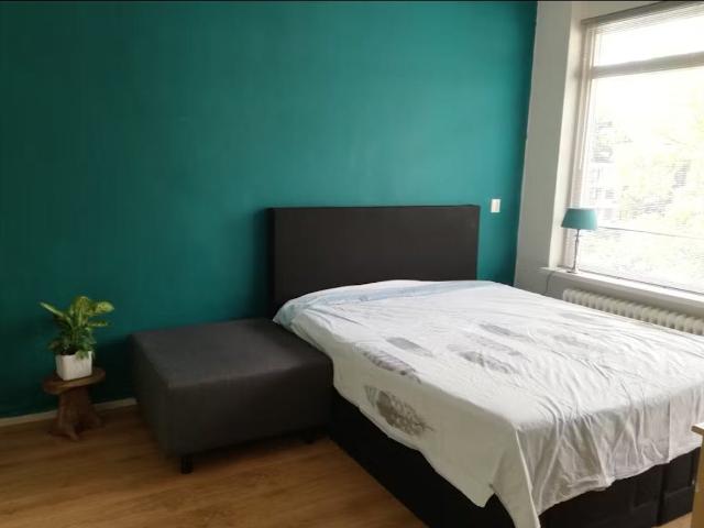 Kamer te huur in Kralingen-Oost, Rotterdam
