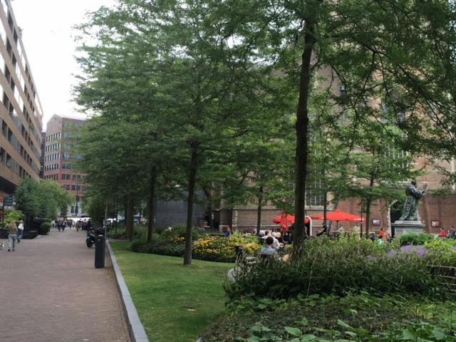 Kamer te huur in Centrum, Rotterdam