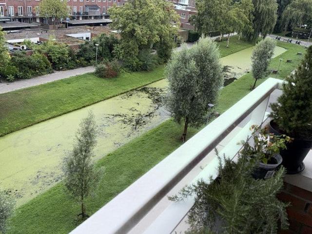 Appartement te huur in Charlois, Rotterdam