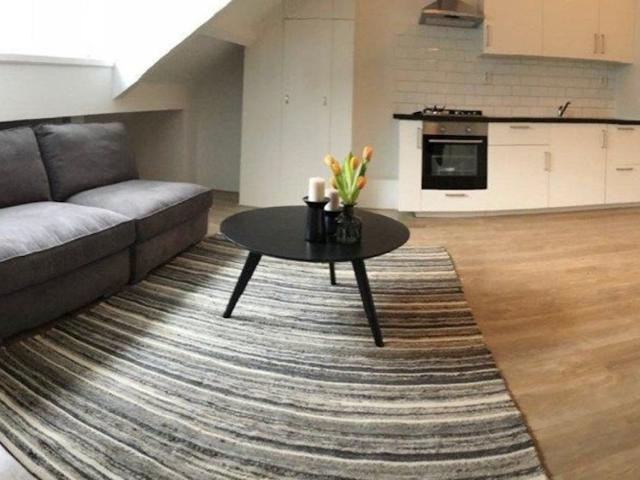 Appartement te huur in Schiedam, Zuid Holland