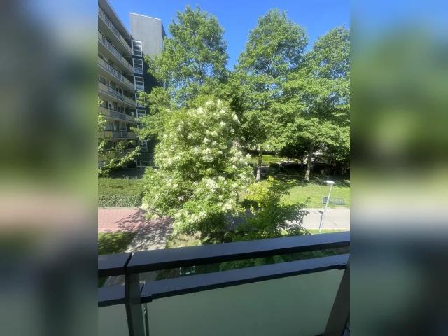 Appartement te huur in Schiedam, Zuid Holland