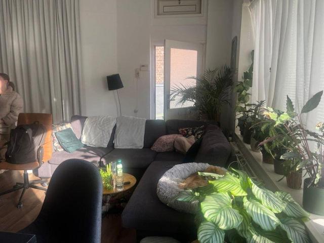 Appartement te huur in Olland, Zuid Holland