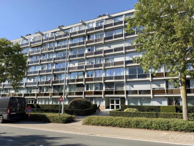 Appartement location à Schoten