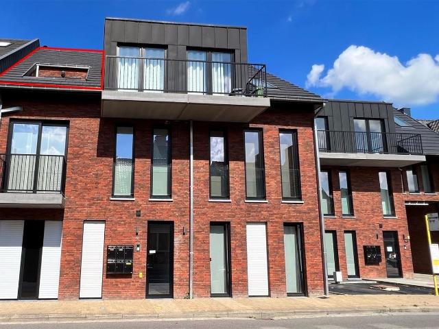 Appartement location à Sint-niklaas, Oost-Vlaanderen