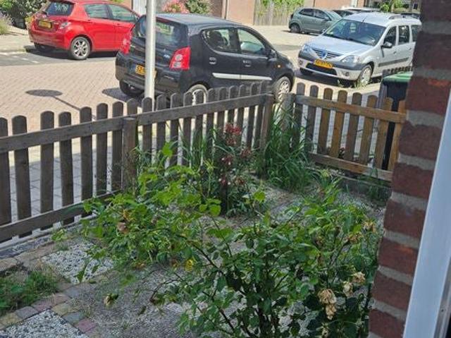 Appartement te huur in Spijkenisse, Nissewaard