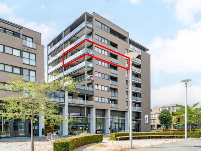 Appartement location à Temse