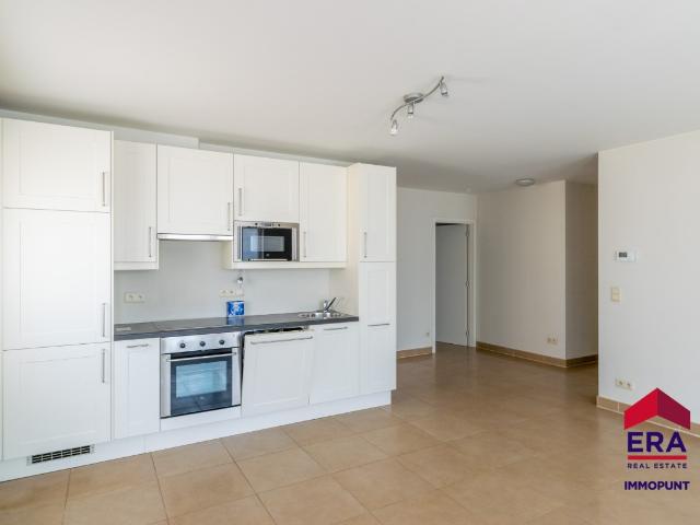 Appartement location à Tienen, Brabant