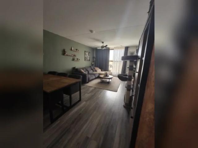 Appartement te huur in Reeshof, Tilburg