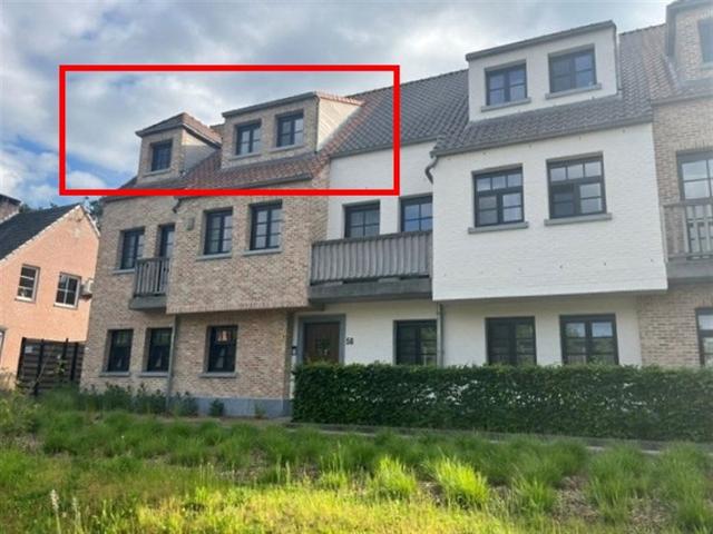 Appartement location à Lille, Antwerpen